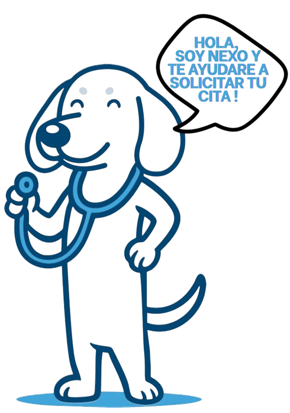 Mascota azul de UTM | Ultra Tecnología Médica sosteniendo una radiografía y levantando el pulgar